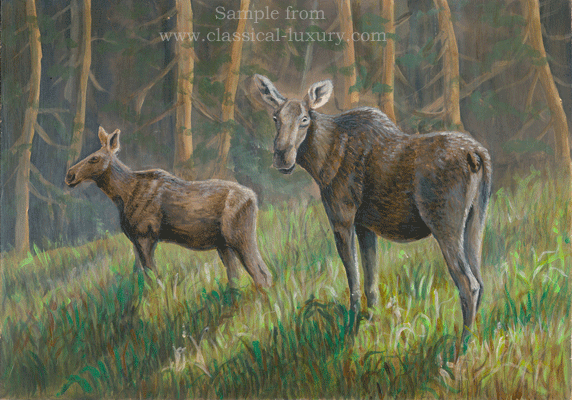 Moose and calf: Alces alces , Wildlife art by Akvile Lawrence