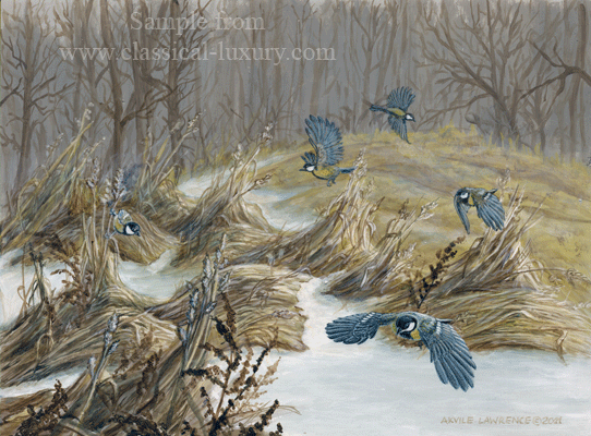 Spring on the way - Great Tits in motion, Wildlife art by Akvile Lawrence